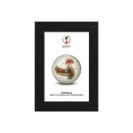 صورة الكرة الرسمية لكأس العالم 2002 (نسخة)