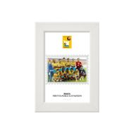 صورة الفائز بكأس العالم 1958 - البرازيل