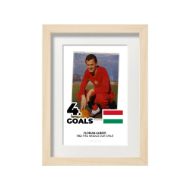 صورة الفائز بالحذاء الذهبي لكأس العالم 1962 - فلوريان ألبرت