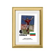 صورة الفائز بالحذاء الذهبي لكأس العالم 1994 - خريستو ستويشكوف